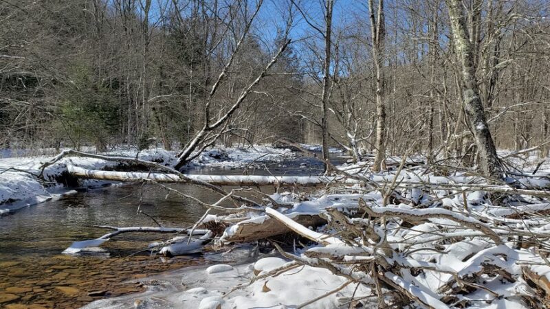 Day Run Campground - Marlinton, WV