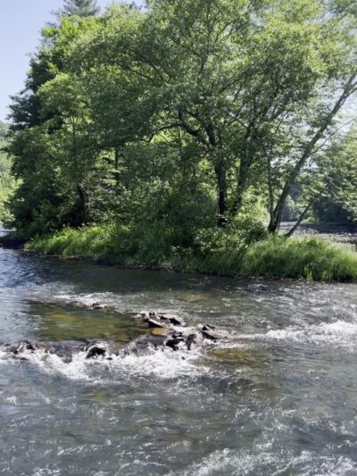 Greenbrier River Trail - Marlinton, WV