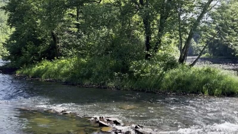 Greenbrier River Trail - Marlinton, WV