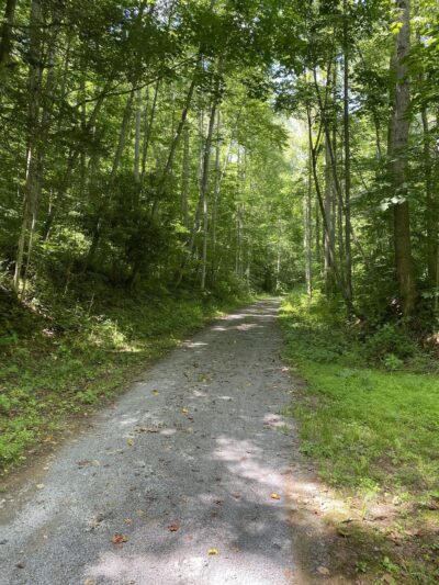 Greenbrier River Trail - Marlinton, WV