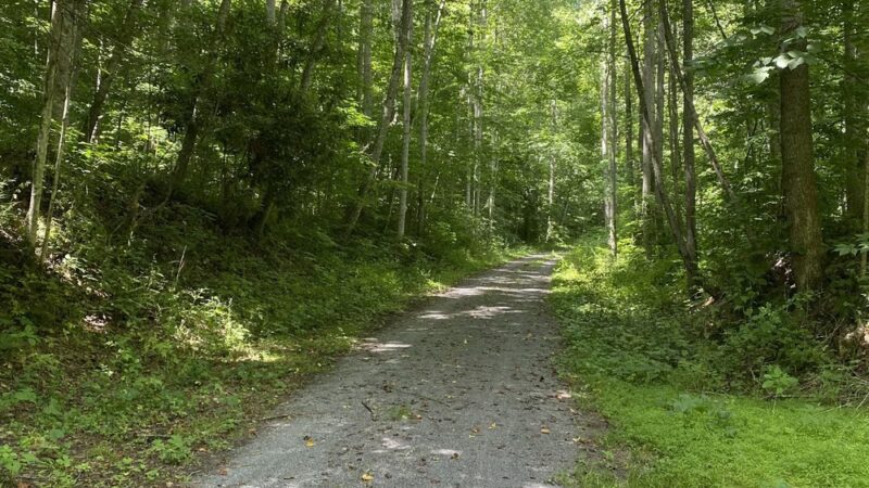 Greenbrier River Trail - Marlinton, WV