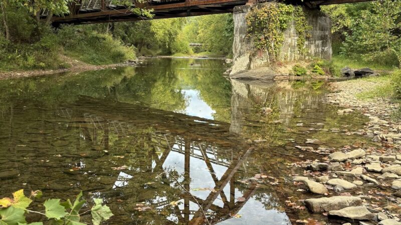 Marlinton Creek and Trail Campground - Marlinton, WV