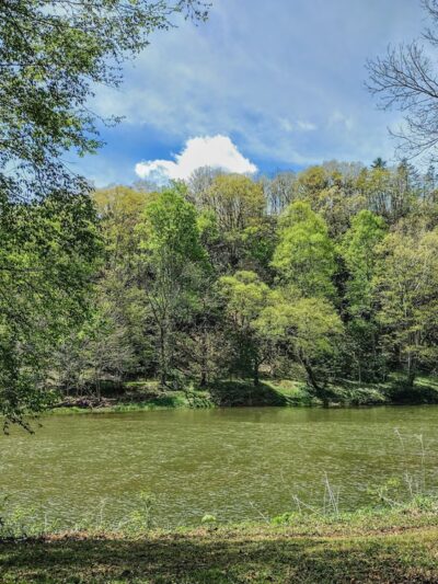 Stillwell Park - Marlinton, WV