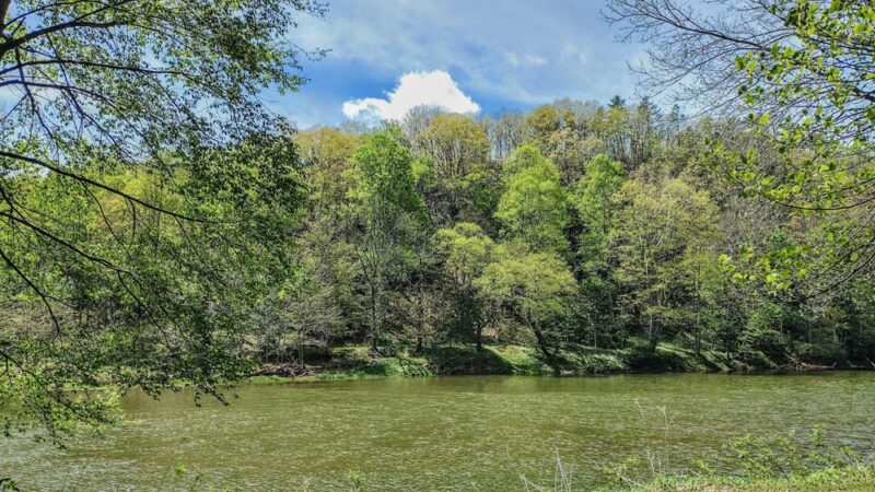 Stillwell Park - Marlinton, WV