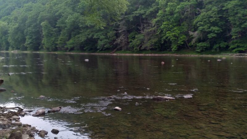 Stillwell Park - Marlinton, WV