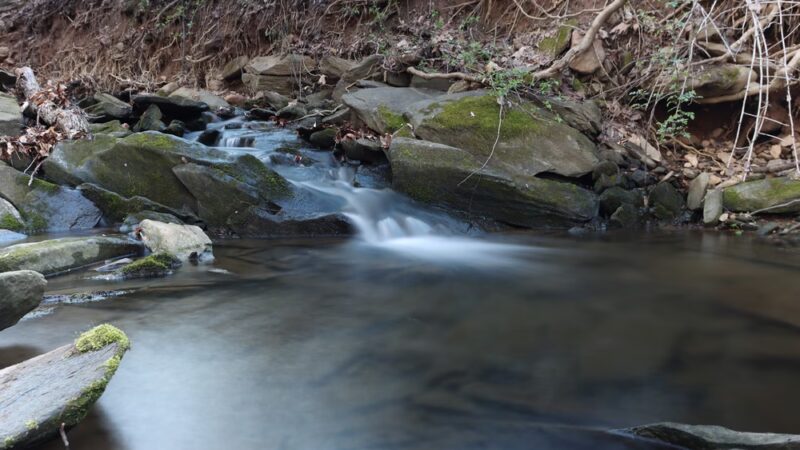 Don Guanella Park - Marple Township, PA