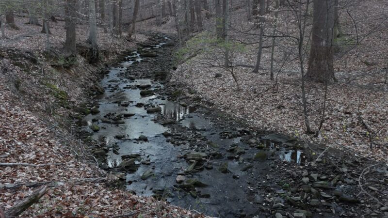Don Guanella Park - Marple Township, PA