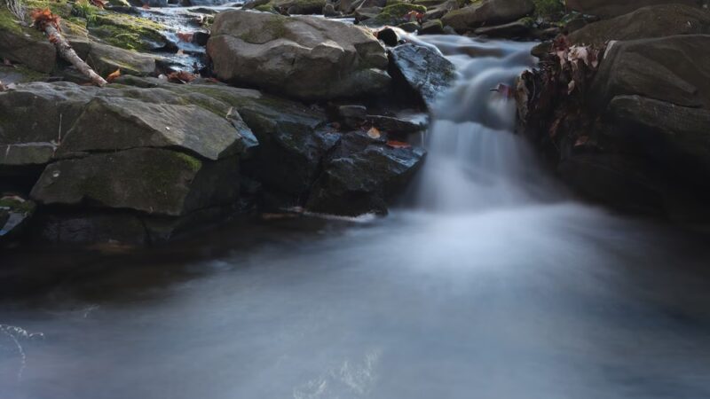 Don Guanella Park - Marple Township, PA
