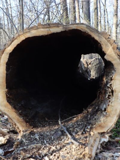 Don Guanella Park - Marple Township, PA