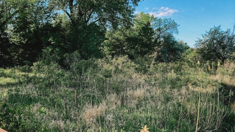 Tooley Park - Marquette, NE