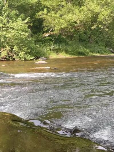 Henryton Hiking Trail - Marriottsville, MD