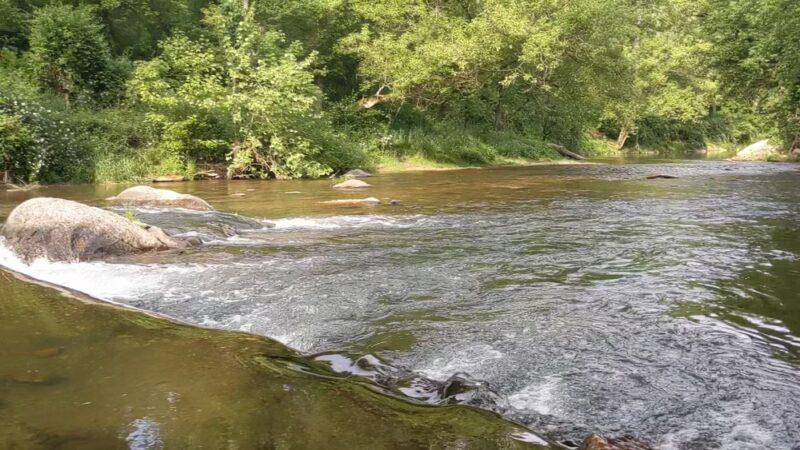 Henryton Hiking Trail - Marriottsville, MD