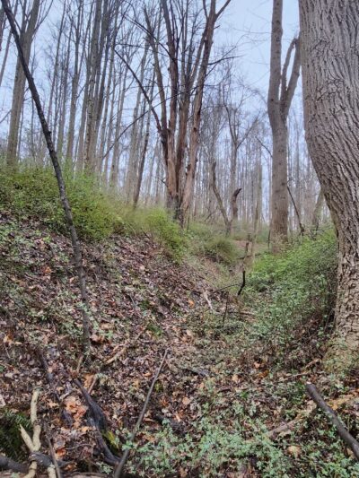 Henryton Hiking Trail - Marriottsville, MD