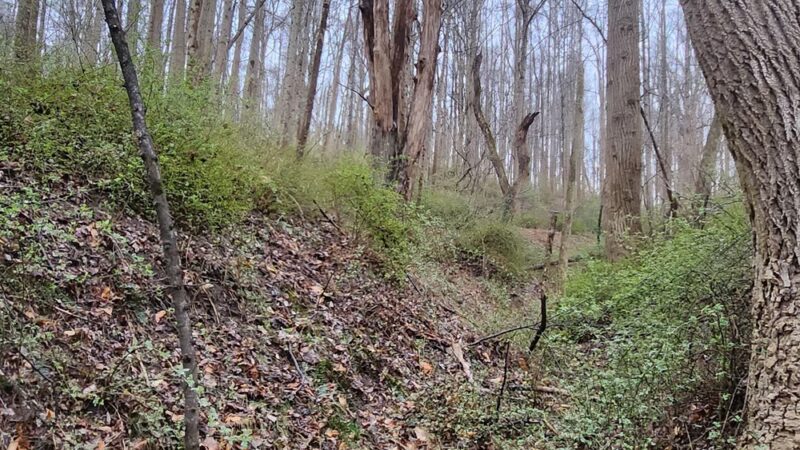 Henryton Hiking Trail - Marriottsville, MD