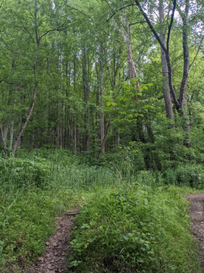 Henryton Hiking Trail - Marriottsville, MD