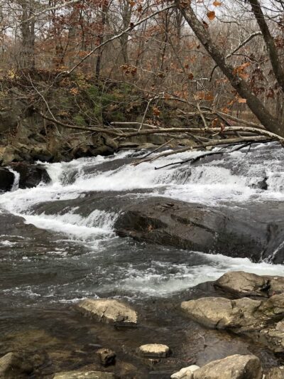 McKeldin Area Ranger Station - Marriottsville, MD