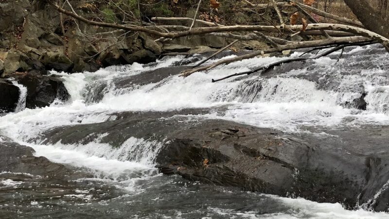 McKeldin Area Ranger Station - Marriottsville, MD