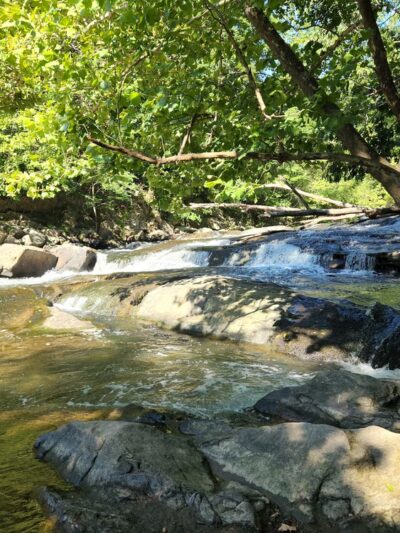 Patapsco Valley State Park- McKeldin Area - Marriottsville, MD