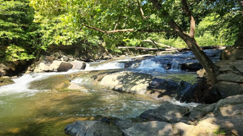 Patapsco Valley State Park- McKeldin Area - Marriottsville, MD