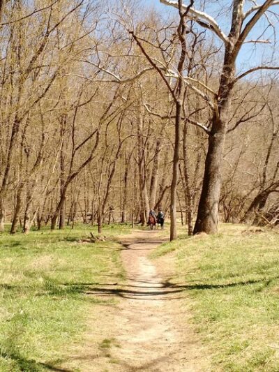 Patapsco Valley State Park- McKeldin Area - Marriottsville, MD