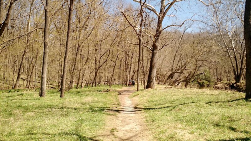 Patapsco Valley State Park- McKeldin Area - Marriottsville, MD