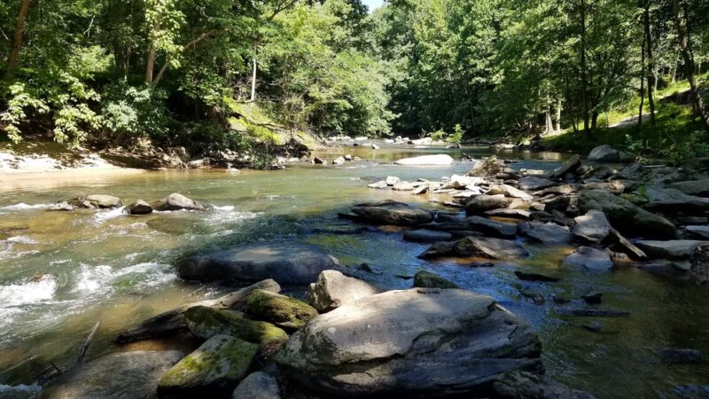 Patapsco Valley State Park- McKeldin Area - Marriottsville, MD