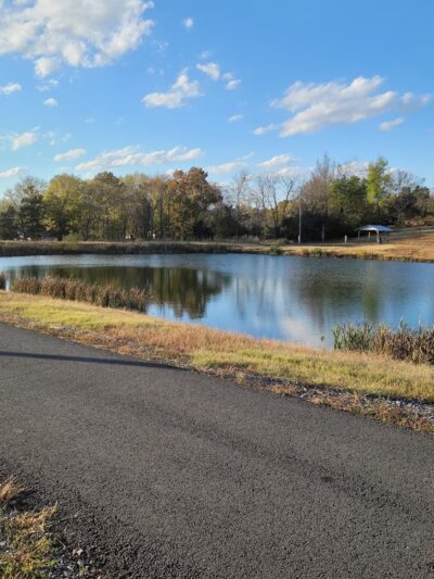 City Park - Marshall, AR