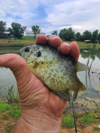 City Park - Marshall, AR