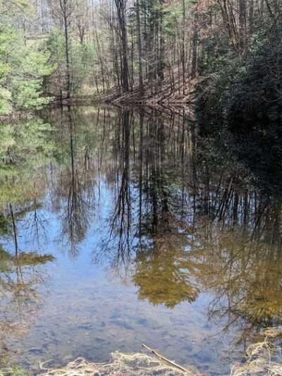Appalachian Trail - Marshall, NC