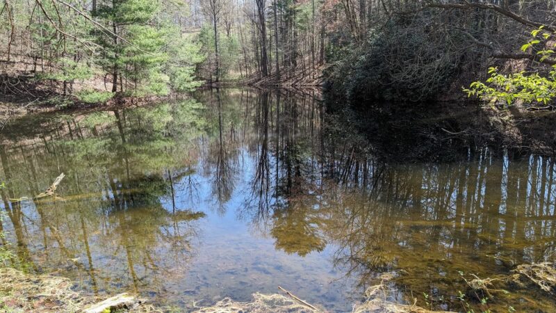 Appalachian Trail - Marshall, NC