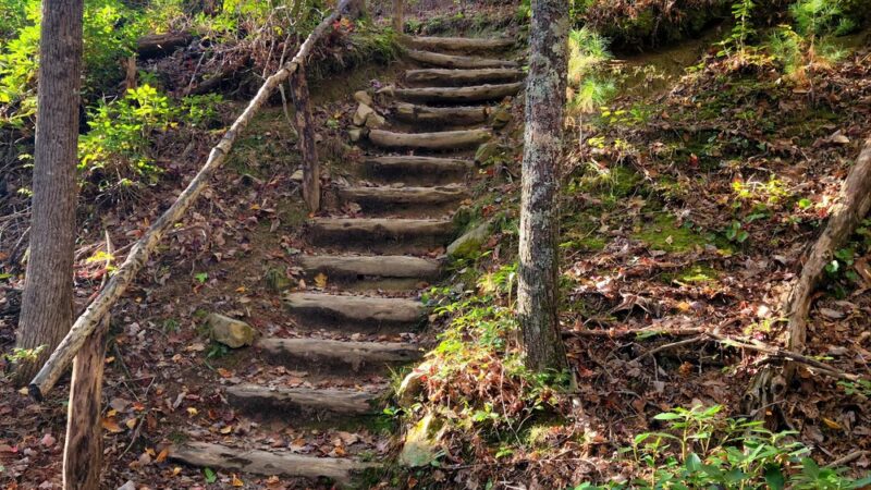 Appalachian Trail - Marshall, NC