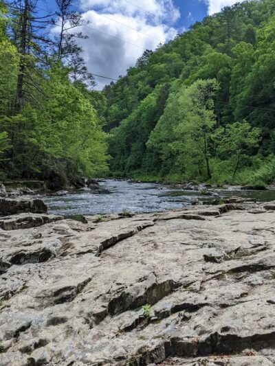 Big Laurel trailhead - Marshall, NC