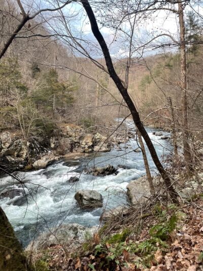 Big Laurel trailhead - Marshall, NC