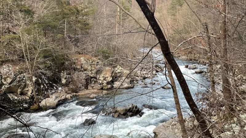 Big Laurel trailhead - Marshall, NC