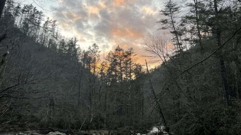Big Laurel trailhead - Marshall, NC