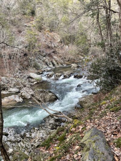 Big Laurel trailhead - Marshall, NC