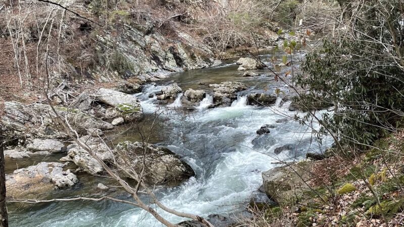 Big Laurel trailhead - Marshall, NC