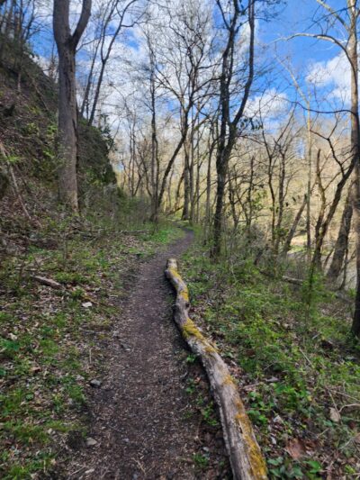 Laurel River Trailhead - Marshall, NC