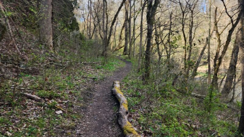 Laurel River Trailhead - Marshall, NC