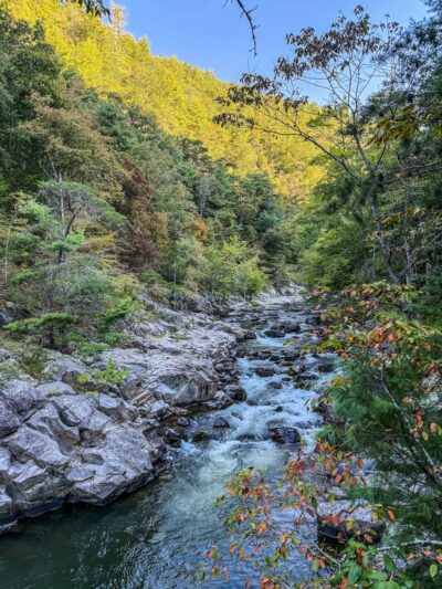 Laurel River Trailhead - Marshall, NC