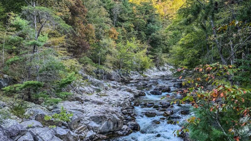 Laurel River Trailhead - Marshall, NC