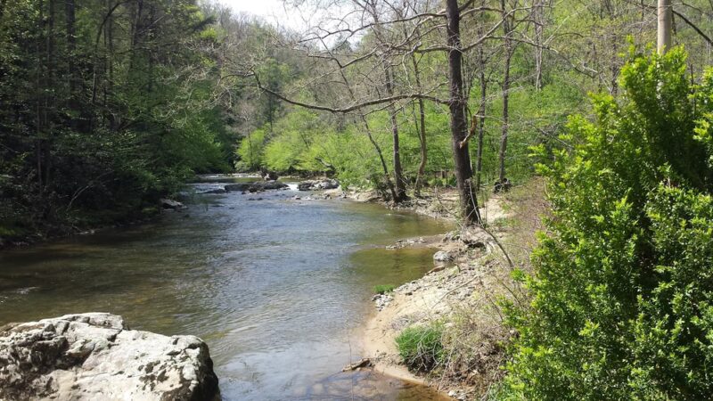 Laurel River Trailhead - Marshall, NC
