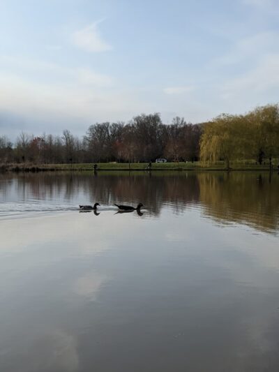 Park - Marshall, VA