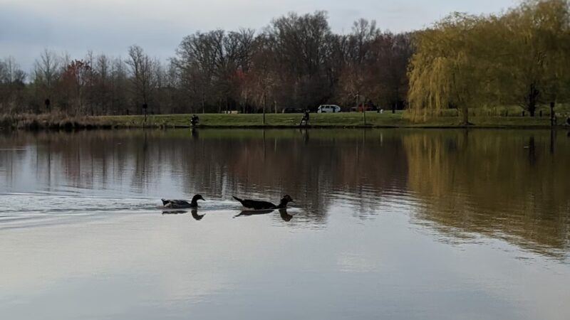 Park - Marshall, VA