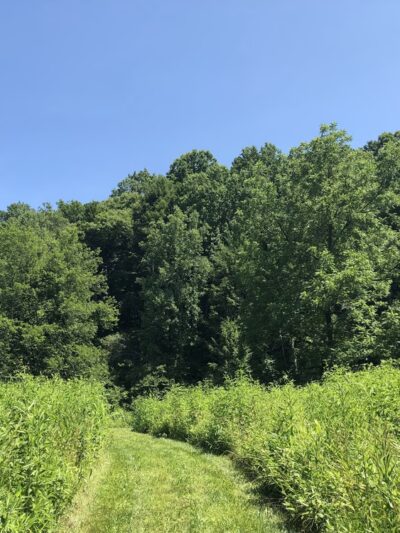 Riverside Preserve - Marshall, VA