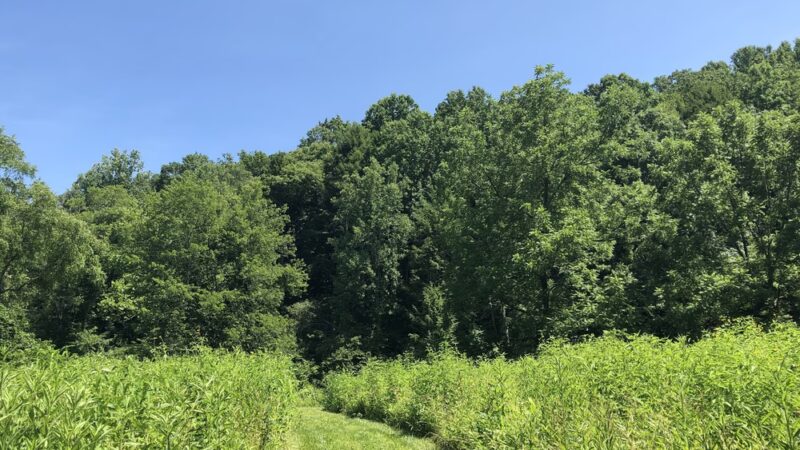 Riverside Preserve - Marshall, VA