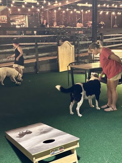 Barc-ee's - Marshfield, MO