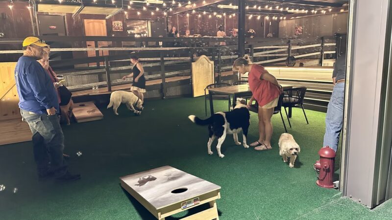 Barc-ee's - Marshfield, MO