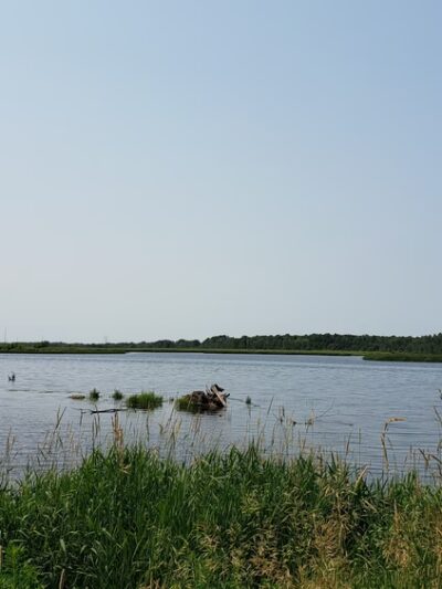 McMillan Marsh Bike Trail - Marshfield, WI