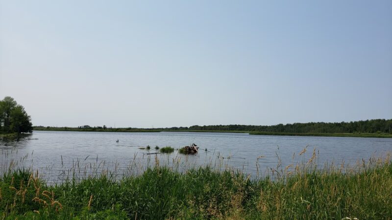 McMillan Marsh Bike Trail - Marshfield, WI